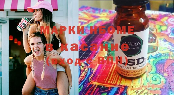 индика Надым