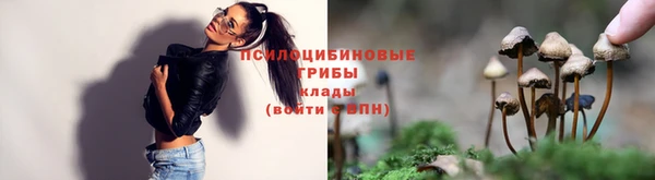 apvp Нефтегорск