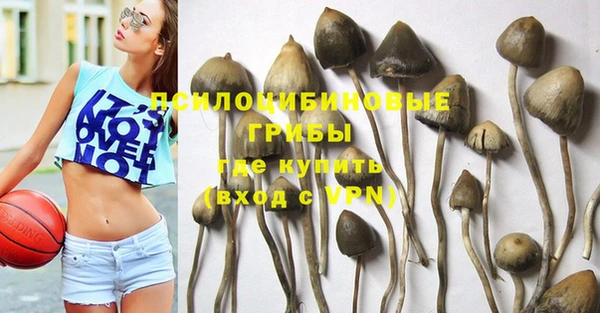 mdpv Нея