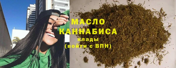 индика Надым