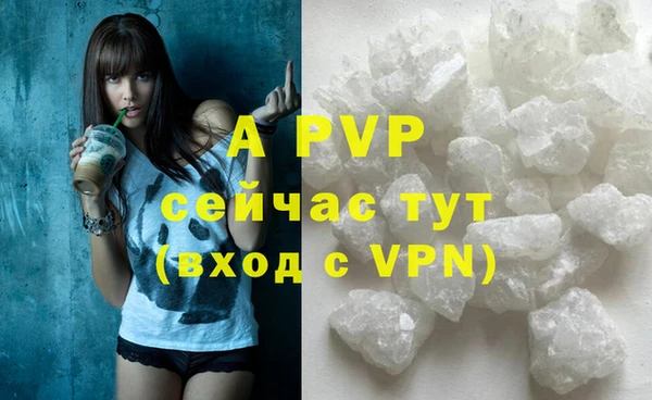 индика Надым