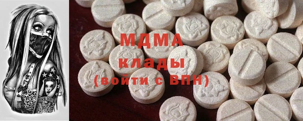 индика Надым