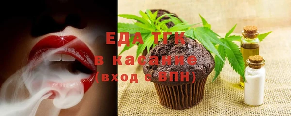 индика Надым