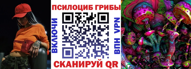 Псилоцибиновые грибы Cubensis  Купить  Ермолино 